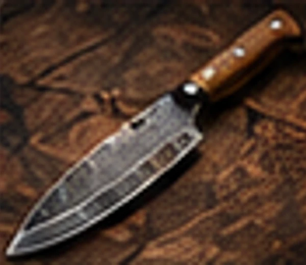 Gyuto Master 240 view 2