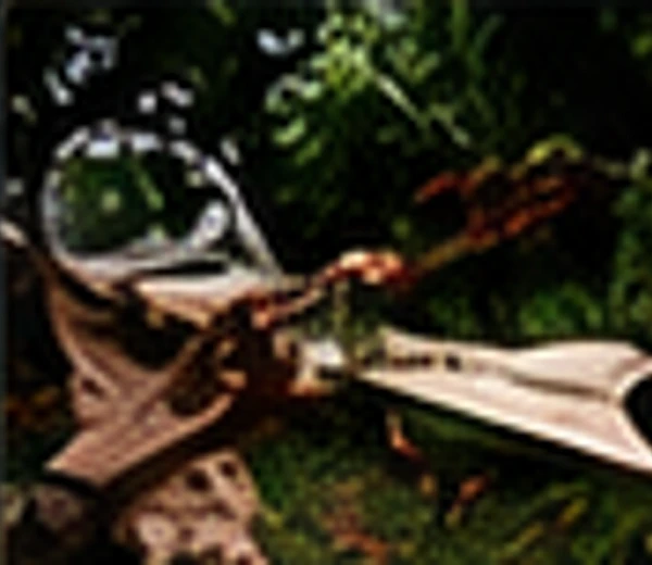Bushcraft Tracker