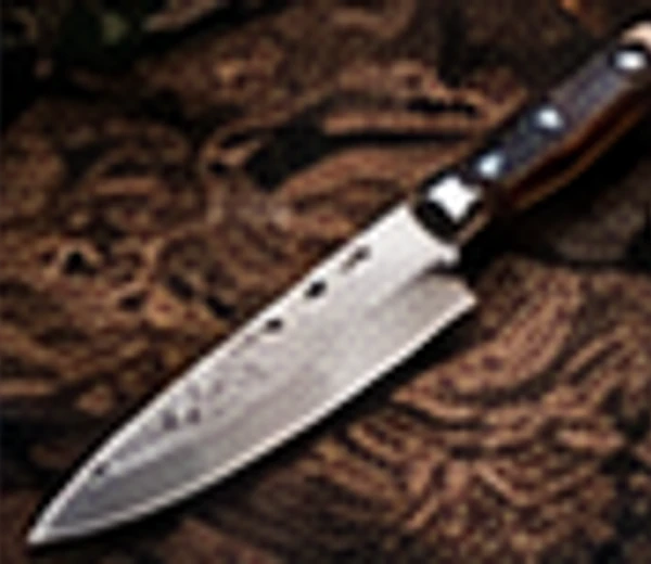 Gyuto Master 240