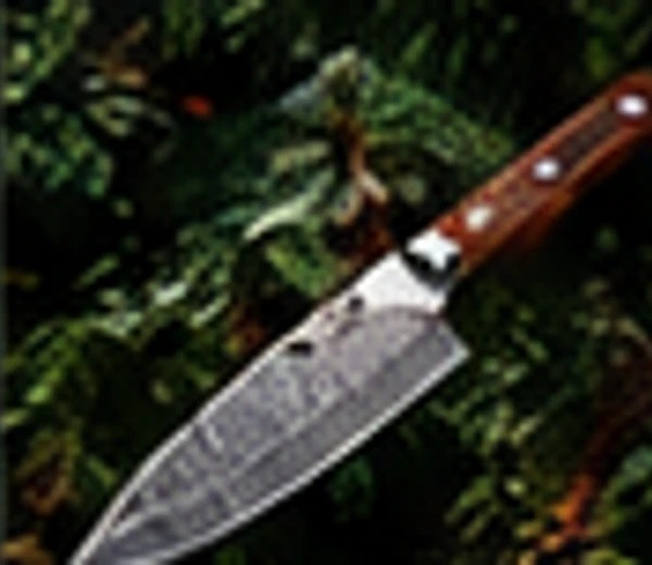 Bushcraft Tracker view 2